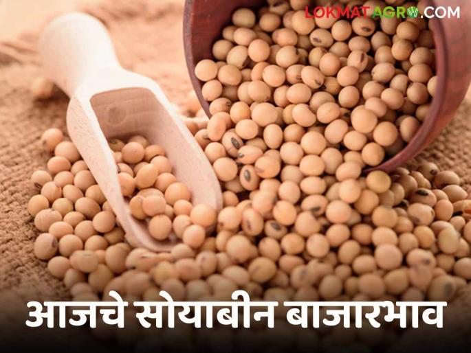 Soybean Bazaar Bhav: How much soybeans arrived in the market on Sunday; Read in detail how the price was obtained | soybean Bajar Bhav: रविवारी बाजारात सोयाबीनची आवक किती; कसा मिळाला दर ते वाचा सविस्तर