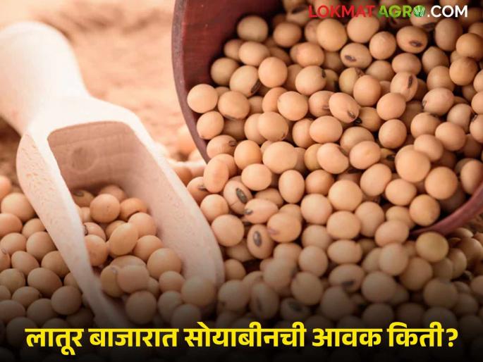 Soybean Bazaar Bhav: Soybean arrivals in Latur Bazaar slowed down; Read the price received in detail | Soybean Bajar Bhav : लातूर बाजारात सोयाबीनची आवक मंदावली; असा मिळाला दर ते वाचा सविस्तर Soybean Bazaar Bhav: Soybean arrivals in Latur Bazaar slowed down; Read the price received in detail | Soybean Bajar Bhav : लातूर बाजारात सोयाबीनची आवक मंदावली; असा मिळाला दर ते वाचा सविस्तर