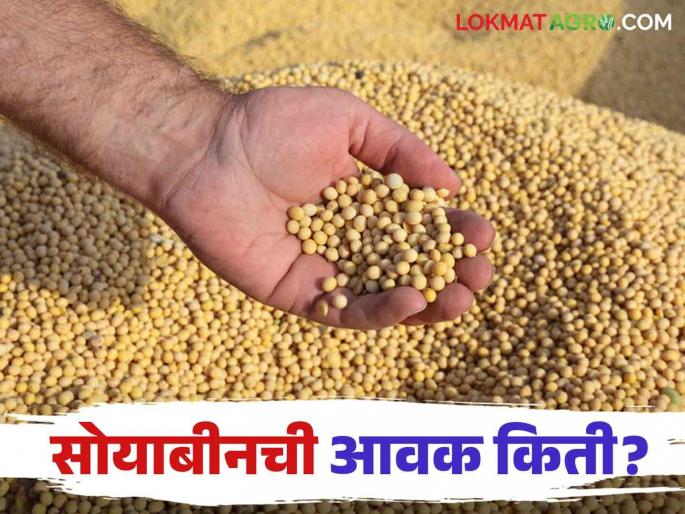 Soybean Bajar Bhav: Highest arrival of soybeans in Amravati market | Soybean Bajar Bhav : अमरावती बाजारात सोयाबीनची सर्वाधिक आवक; हा मिळाला भाव वाचा सविस्तर Soybean Bajar Bhav: Highest arrival of soybeans in Amravati market | Soybean Bajar Bhav : अमरावती बाजारात सोयाबीनची सर्वाधिक आवक; हा मिळाला भाव वाचा सविस्तर