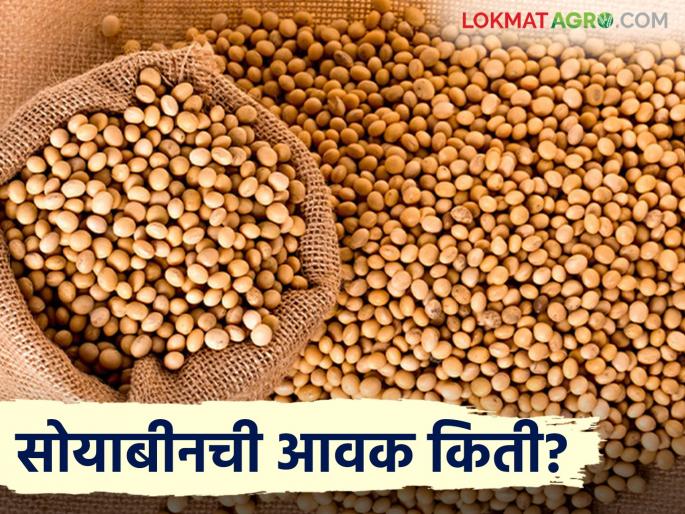 Soybean Bazaar Bhav: How much is the arrival of yellow soybeans in Latur market? Read in detail how the price was obtained | Soybean Bajar Bhav : लातूर बाजारात पिवळा सोयाबीनची आवक किती? कसा मिळाला दर ते वाचा सविस्तर