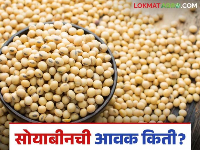 Soybean Bazaar Bhav: Soybean arrivals in Latur market slowed down; Read in detail how the price was obtained | Soybean Bajar Bhav : लातूर बाजारात सोयाबीनची आवक मंदावली; कसा मिळाला दर ते वाचा सविस्तर Soybean Bazaar Bhav: Soybean arrivals in Latur market slowed down; Read in detail how the price was obtained | Soybean Bajar Bhav : लातूर बाजारात सोयाबीनची आवक मंदावली; कसा मिळाला दर ते वाचा सविस्तर