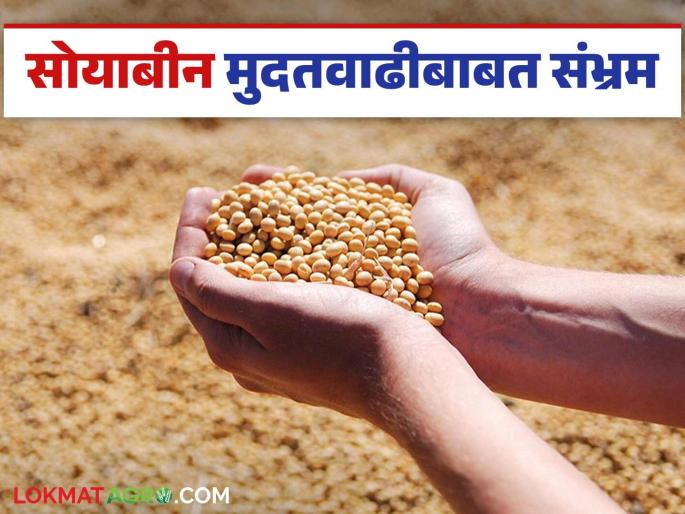 Soybean Procurement: latest news Soybean deadline extension fails to materialize and tension remains unsettled. Read in detail | Soybean Procurement : सोयाबीन मुदतवाढीचा मेळ बसेना अन् तिढा सुटेना वाचा सविस्तर Soybean Procurement: latest news Soybean deadline extension fails to materialize and tension remains unsettled. Read in detail | Soybean Procurement : सोयाबीन मुदतवाढीचा मेळ बसेना अन् तिढा सुटेना वाचा सविस्तर