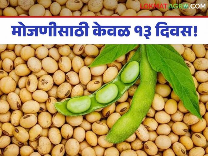 Nafed center: Soybean growers wait for 'Nafed' purchase Read in detail | Nafed center : 'नाफेड' खरेदीची सोयाबीन उत्पादकांना प्रतीक्षा वाचा सविस्तर Nafed center: Soybean growers wait for 'Nafed' purchase Read in detail | Nafed center : 'नाफेड' खरेदीची सोयाबीन उत्पादकांना प्रतीक्षा वाचा सविस्तर