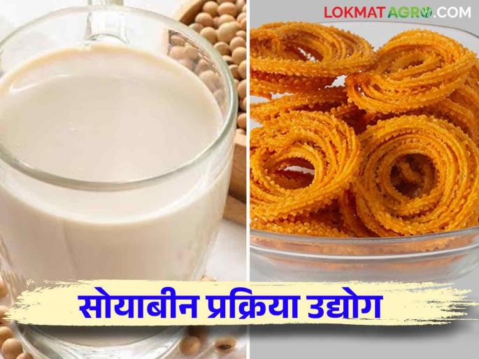 Soybean process : How to produce protein milk from soybean process? Read in detail | Soybean process : सोयाबीन प्रक्रियेतून प्रोटीन दुधाची निर्मिती कशी कराल? वाचा सविस्तर Soybean process : How to produce protein milk from soybean process? Read in detail | Soybean process : सोयाबीन प्रक्रियेतून प्रोटीन दुधाची निर्मिती कशी कराल? वाचा सविस्तर