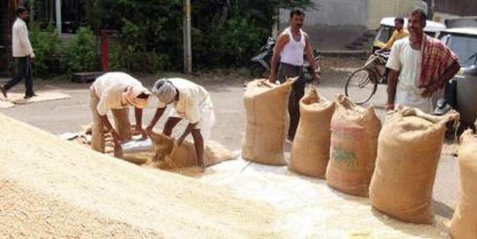 Soybean grower farmer not keent to sell soybean at procurement centers | हमीभाव केंद्रांकडे सोयाबीन उत्पादक शेतकऱ्यांची पाठ! Soybean grower farmer not keent to sell soybean at procurement centers | हमीभाव केंद्रांकडे सोयाबीन उत्पादक शेतकऱ्यांची पाठ!