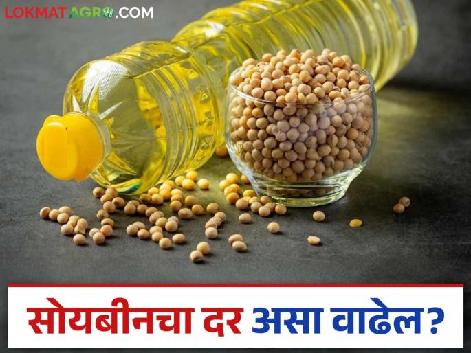 Edible oil import duty hike for soybeans? Benefit to farmers or traders? Read in detail | सोयाबीनसाठी खाद्यतेल आयात शुल्कात वाढ? फायदा शेतकऱ्यांना की व्यापाऱ्यांना? वाचा सविस्तर Edible oil import duty hike for soybeans? Benefit to farmers or traders? Read in detail | सोयाबीनसाठी खाद्यतेल आयात शुल्कात वाढ? फायदा शेतकऱ्यांना की व्यापाऱ्यांना? वाचा सविस्तर