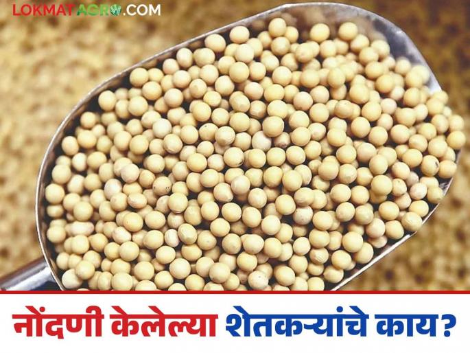 Soybean Procurement: latest news Queues of vehicles at soybean procurement centers; Purchase until the portal is open! Read in detail | Soybean Procurement: सोयाबीन खरेदी केंद्रांवर वाहनांच्या रांगा; पोर्टल सुरू असेपर्यंत खरेदी! वाचा सविस्तर Soybean Procurement: latest news Queues of vehicles at soybean procurement centers; Purchase until the portal is open! Read in detail | Soybean Procurement: सोयाबीन खरेदी केंद्रांवर वाहनांच्या रांगा; पोर्टल सुरू असेपर्यंत खरेदी! वाचा सविस्तर