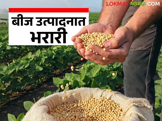 latest news Soybean Seeds: Soybean breaks the deadlock; Buldhana farmers reach record level Read in detail | Soybean Seeds : सोयाबीनने फोडली कोंडी; बुलढाण्याच्या शेतकऱ्यांनी गाठला विक्रमी टप्पा वाचा सविस्तर latest news Soybean Seeds: Soybean breaks the deadlock; Buldhana farmers reach record level Read in detail | Soybean Seeds : सोयाबीनने फोडली कोंडी; बुलढाण्याच्या शेतकऱ्यांनी गाठला विक्रमी टप्पा वाचा सविस्तर