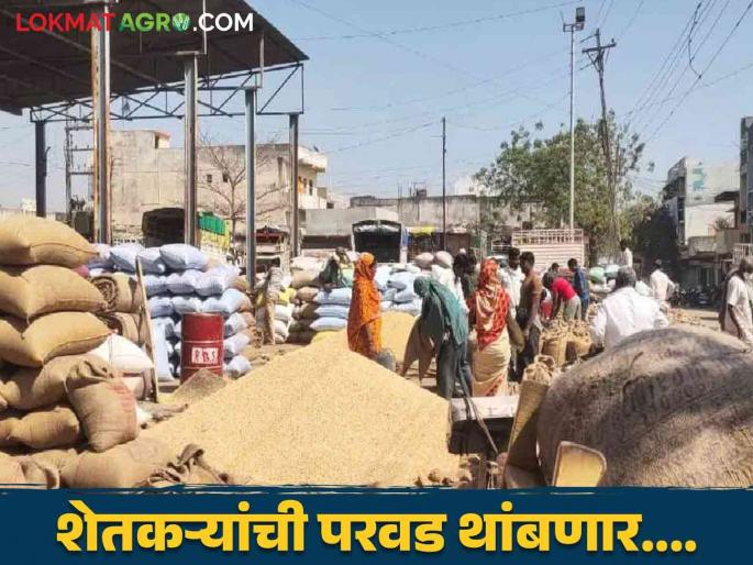 Soybean Nafed Center : Farmers! Taking soybeans for sale, check the SMS once and then go to the market  | Soybean Nafed Center : शेतकऱ्यांनो ! सोयाबीन विक्रीसाठी नेताय एकदा एसएमएस चेक करा अन् मग जा बाजारात  Soybean Nafed Center : Farmers! Taking soybeans for sale, check the SMS once and then go to the market  | Soybean Nafed Center : शेतकऱ्यांनो ! सोयाबीन विक्रीसाठी नेताय एकदा एसएमएस चेक करा अन् मग जा बाजारात