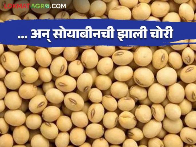 Soybean Theft: About 22 quintals of soybeans were stolen from Deulgaon Raja | Soybean Theft : देऊळगाव राजा येथून चक्क २२ क्विंटल सोयाबीनची झाली चोरी Soybean Theft: About 22 quintals of soybeans were stolen from Deulgaon Raja | Soybean Theft : देऊळगाव राजा येथून चक्क २२ क्विंटल सोयाबीनची झाली चोरी
