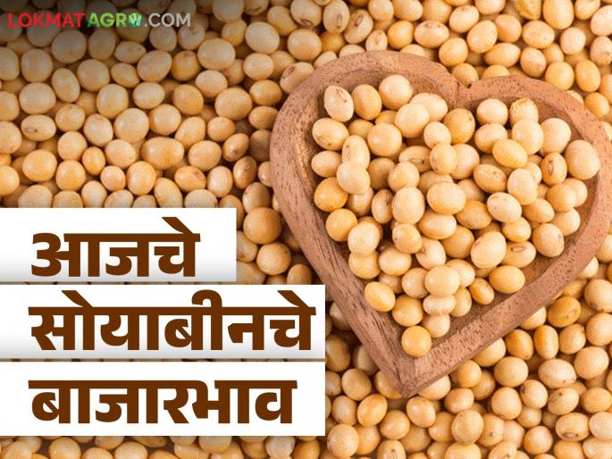 Soybean Market Update: Soybean received highest in Sillod market; Read in detail what 'Bhav' got | Soybean Market Update : सोयाबीनची सर्वाधिक आवक सिल्लोड बाजारात झाली; काय 'भाव' मिळाला ते वाचा सविस्तर Soybean Market Update: Soybean received highest in Sillod market; Read in detail what 'Bhav' got | Soybean Market Update : सोयाबीनची सर्वाधिक आवक सिल्लोड बाजारात झाली; काय 'भाव' मिळाला ते वाचा सविस्तर