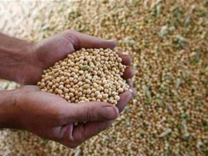 Soybean prices likely to rise further | सोयाबीनच्या दरात आणखी तेजीची शक्यता Soybean prices likely to rise further | सोयाबीनच्या दरात आणखी तेजीची शक्यता