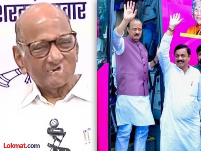 NCP MP Sharad Pawar criticizes Ajit Pawar pink campaign for upcoming maharashtra assembly election 2024 | गुलाबी जॅकेटवरून अजित पवारांना टोला; शरद पवारांचा एक प्रतिप्रश्न अन् पत्रकार हसले NCP MP Sharad Pawar criticizes Ajit Pawar pink campaign for upcoming maharashtra assembly election 2024 | गुलाबी जॅकेटवरून अजित पवारांना टोला; शरद पवारांचा एक प्रतिप्रश्न अन् पत्रकार हसले