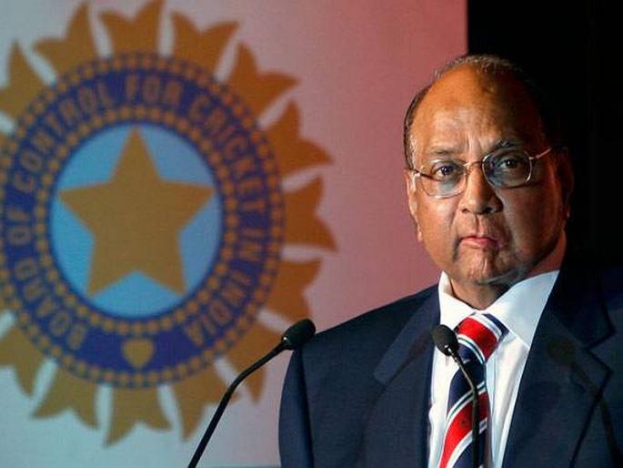 Sharad Pawar's "Googly", Turns on madha loksabha election and predict about modi | शरद पवारांच्या "गुगली"ने दांड्या गुल ! Sharad Pawar's "Googly", Turns on madha loksabha election and predict about modi | शरद पवारांच्या "गुगली"ने दांड्या गुल !
