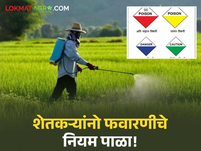 latest news Spraying Protection: A small mistake while spraying will cause big damage; Read safety measures | Spraying Protection : फवारणी करताना छोटी चूक, मोठं नुकसान करेल; वाचा सुरक्षिततेचे उपाय