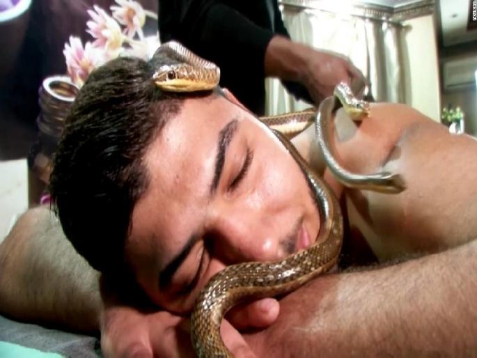 Snake Massage in cairo spa in Egypt, watch shocking video | ऐकावं ते नवलंच! 'या' अनोख्या स्पामध्ये माणसांऐवजी साप करतात मालिश; पाहा VIDEO Snake Massage in cairo spa in Egypt, watch shocking video | ऐकावं ते नवलंच! 'या' अनोख्या स्पामध्ये माणसांऐवजी साप करतात मालिश; पाहा VIDEO