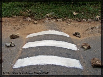 Demand for imposing motion on the heading ghat | मुखेड फाट्यावर गतिरोधक बसविण्याची मागणी