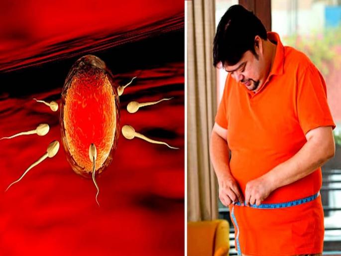 male fertility tips mens bad habits that can harm sperm count and reproductive health know details | Male Fertility Tips: स्पर्म काऊंट कमी करतायत पुरुषांच्या 'या' चुकीच्या सवयी, प्रजनन क्षमताही होतेय कमी male fertility tips mens bad habits that can harm sperm count and reproductive health know details | Male Fertility Tips: स्पर्म काऊंट कमी करतायत पुरुषांच्या 'या' चुकीच्या सवयी, प्रजनन क्षमताही होतेय कमी
