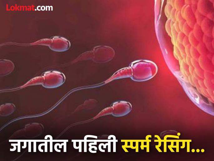 World first sperm race take place in Las Angelis, know the rason | इथे केलं जाणार जगातील पहिल्या स्पर्म रेसचं आयोजन; गंमत नाही, कारण आहे महत्वाचं... World first sperm race take place in Las Angelis, know the rason | इथे केलं जाणार जगातील पहिल्या स्पर्म रेसचं आयोजन; गंमत नाही, कारण आहे महत्वाचं...