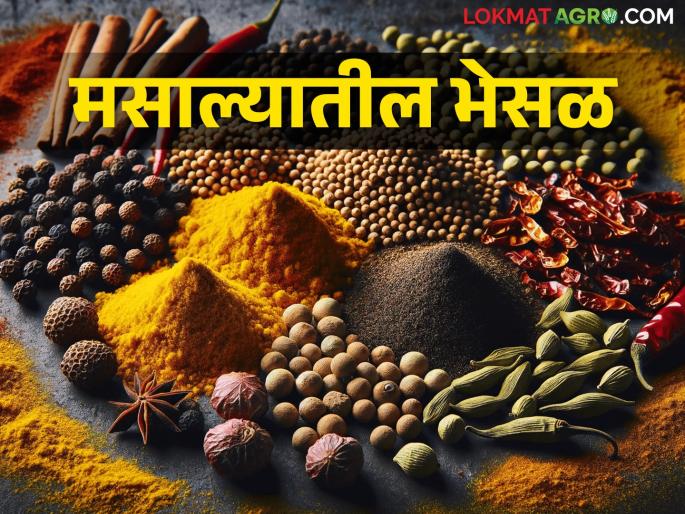 Beware.. Eating adulterated spices? what can happen | सावधान.. भेसळयुक्त मसाले खाताय? काय होवू शकते