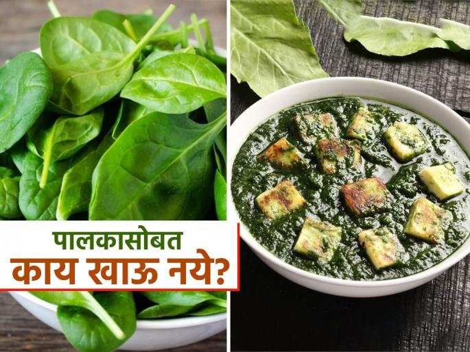These food should not eat with spinach know the reason | पालक पनीर चवीला छान पण तब्येतीसाठी मात्र घातक, पावसाळ्यात तर हमखास बिघडते पोट कारण..