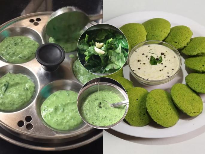 How to make spinach idli in 10 minutes Soft and fluffy spinach idli recipe step by step Healthy breakfast idea for kids | १० मिनिटांत होईल मऊ-जाळीदार पालक इडली, सोपी पद्धत पाहा- मुले खातील आवडीने
