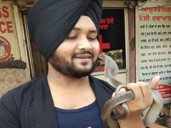 Snake stunt sticks to life, snake bites 'death of Sarpitarra' | सापांशी खेळण्याचा स्टंट जिवावर बेतला, सर्पदंशाने 'सर्पमित्राचा मृत्यू' Snake stunt sticks to life, snake bites 'death of Sarpitarra' | सापांशी खेळण्याचा स्टंट जिवावर बेतला, सर्पदंशाने 'सर्पमित्राचा मृत्यू'