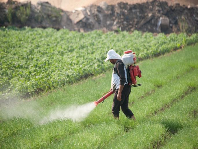 Poisoning during pesticide spraying, symptoms and first aid | किडनाशके फवारणी दरम्यान झालेली विषबाधा, लक्षणे आणि प्रथमोपचार Poisoning during pesticide spraying, symptoms and first aid | किडनाशके फवारणी दरम्यान झालेली विषबाधा, लक्षणे आणि प्रथमोपचार