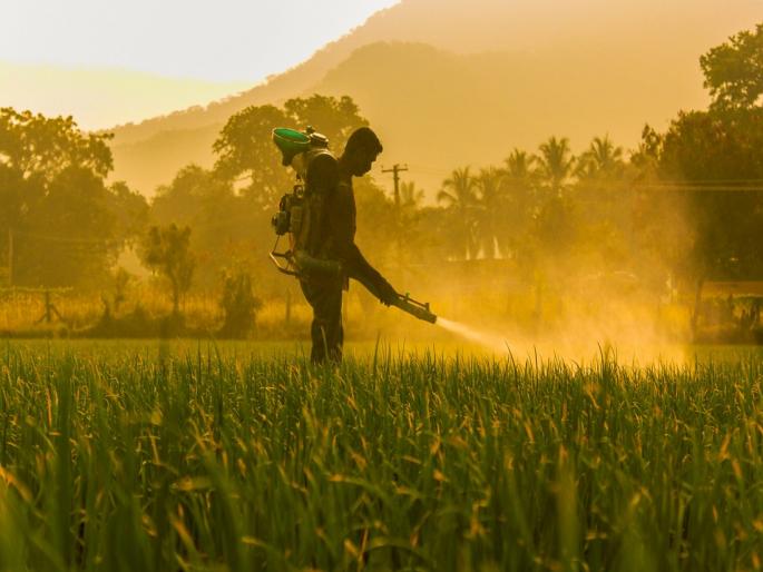 Use nano fertilizer, increase productivity | नॅनो खताचा वापर करा, उत्पादकता वाढवा Use nano fertilizer, increase productivity | नॅनो खताचा वापर करा, उत्पादकता वाढवा