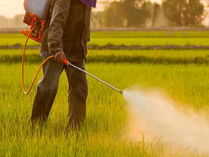 Precautions to be taken while using herbicides | अशी काळजी घेणार नसाल तर, तणनाशके अजिबात वापरू नका Precautions to be taken while using herbicides | अशी काळजी घेणार नसाल तर, तणनाशके अजिबात वापरू नका