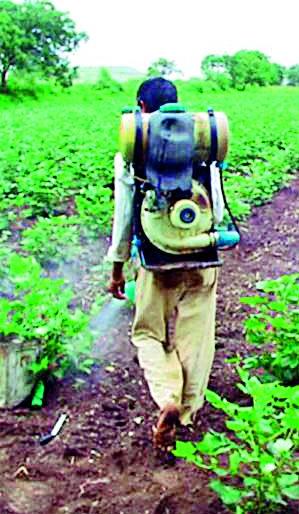 Batch of insecticides, registration number important | कीटकनाशकांचा बॅच, नोंदणी क्रमांक महत्त्वाचा