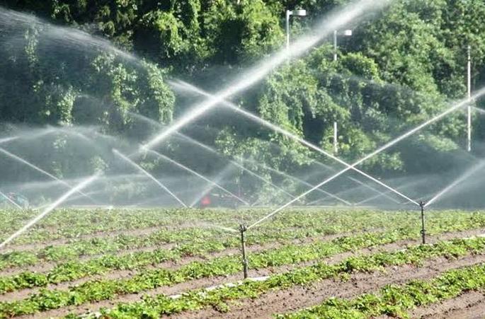 Irrigation scheme scam; Double benefit to the same beneficiary! | सिंचन योजना घोटाळा; एकाच लाभार्थ्याला दोन वेळा लाभ!