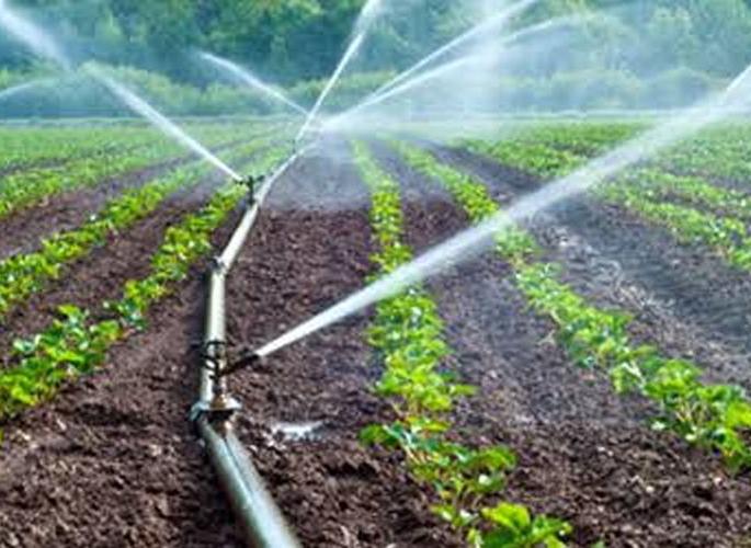 The benefit of the scheme even though there is no record of wells at Satbara | सातबाऱ्यावर विहिरीची नोंद नसूनही योजनेचा लाभ