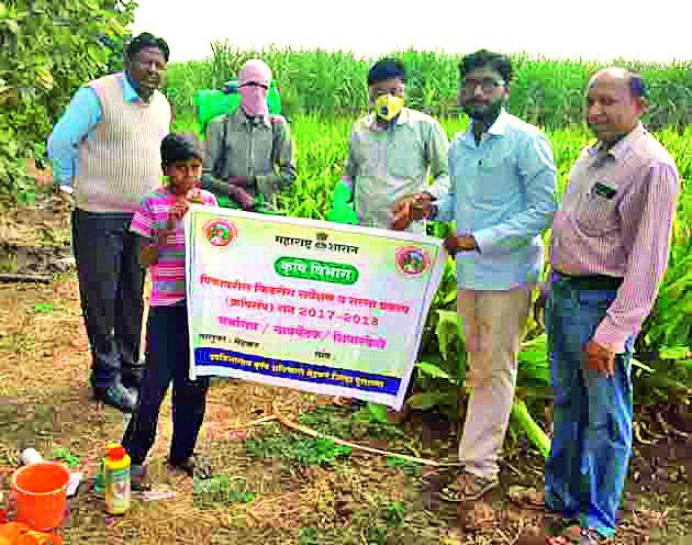 Spraying demonstration officer directly on farm builds! | फवारणीच्या प्रात्यक्षिकासाठी अधिकारी थेट शेत बांधावर!