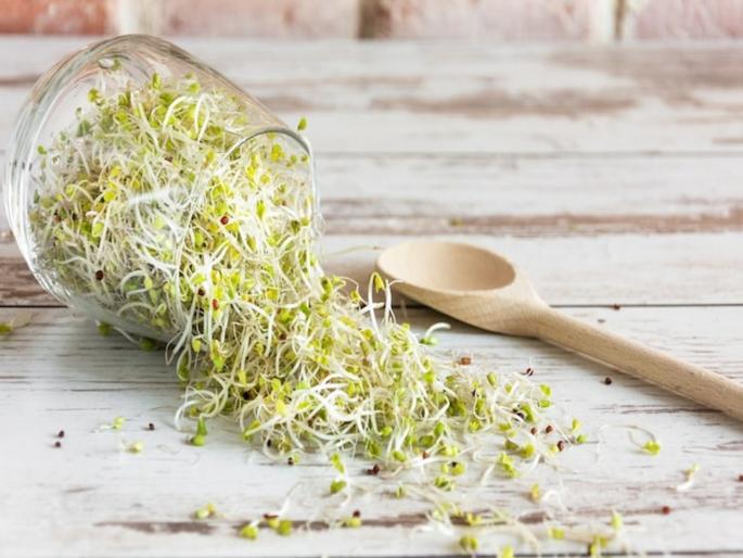 Consumption of sprout increase rbc and wbc in blood lower risk of heart diseases | रोज सकाळी करा मोड आलेल्या कडधान्याचं सेवन, अनेक आजारांचा टळेल धोका! Consumption of sprout increase rbc and wbc in blood lower risk of heart diseases | रोज सकाळी करा मोड आलेल्या कडधान्याचं सेवन, अनेक आजारांचा टळेल धोका!