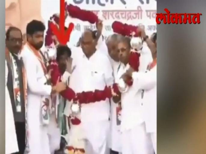 Video: ncp worker troll on social media which show with sharad pawar in balapur | Video: मला बघा, मला बघा... अतिउत्साही कार्यकर्त्याला पवारांनी बाजुला सारले