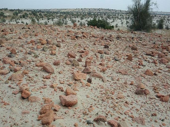 Ancient archaeological site related to the Harappan civilization has been discovered in Ratadia Ri Deri of Jaisalmer district | पाकिस्तानी बॉर्डरजवळ विखुरलेल्या बांगड्यांचं सत्य काय?; भारताने शोधून काढलं दडलेलं रहस्य Ancient archaeological site related to the Harappan civilization has been discovered in Ratadia Ri Deri of Jaisalmer district | पाकिस्तानी बॉर्डरजवळ विखुरलेल्या बांगड्यांचं सत्य काय?; भारताने शोधून काढलं दडलेलं रहस्य