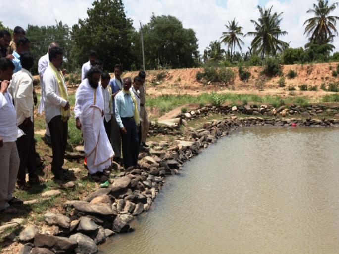 The river came alive and the agriculture became green, Mangala Pandage's ideal of natural farming | नदी जिवंत झाली अन् शेती हिरवीगार झाली, मंगला पांडगे यांचा नैसर्गिक शेतीचा आदर्श