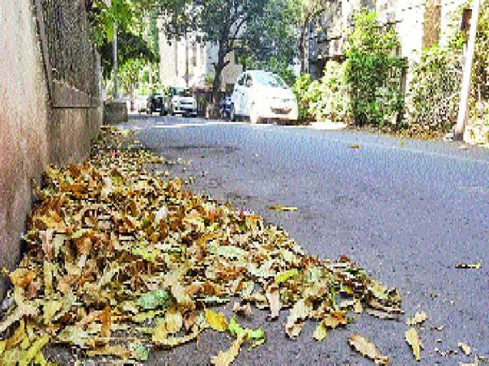 'Braunlif' movement for environmental conservation, new year's new resolution | पर्यावरणसंवर्धनासाठी ‘ब्राऊनलिफ’ चळवळ, नव्या वर्षाचा नवा संकल्प  'Braunlif' movement for environmental conservation, new year's new resolution | पर्यावरणसंवर्धनासाठी ‘ब्राऊनलिफ’ चळवळ, नव्या वर्षाचा नवा संकल्प