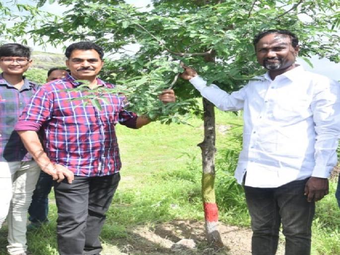 Not against the government but with it: Sayaji Shinde | शासनाच्या विरोधात नसून सोबतच : सयाजी शिंदे Not against the government but with it: Sayaji Shinde | शासनाच्या विरोधात नसून सोबतच : सयाजी शिंदे