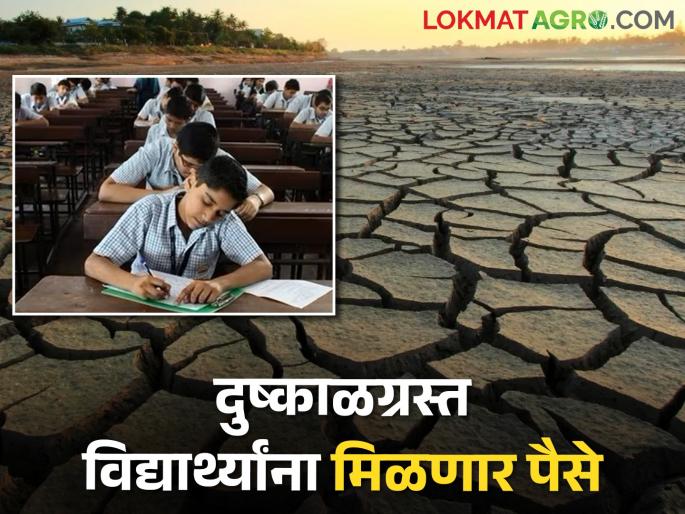The examination fee of class 10-12 students in drought-affected areas will be refunded | दुष्काळग्रस्त भागातील दहावी-बारावी विद्यार्थ्यांची परीक्षा फी परत मिळणार The examination fee of class 10-12 students in drought-affected areas will be refunded | दुष्काळग्रस्त भागातील दहावी-बारावी विद्यार्थ्यांची परीक्षा फी परत मिळणार