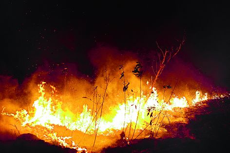 Britain's 10 million pounds for Amazon forests | अॅमेझॉन जंगलासाठी ब्रिटनचे १० दशलक्ष पौंड Britain's 10 million pounds for Amazon forests | अॅमेझॉन जंगलासाठी ब्रिटनचे १० दशलक्ष पौंड