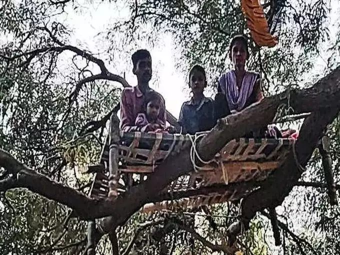 Villagers Sleep On Trees For Fear Of Raging Bull In Gujarat Vadodara | बापरे! झाडावर काढावी लागते गावकऱ्यांना दिवस-रात्र; अनेकांच्या मनात दहशतीचं सावट Villagers Sleep On Trees For Fear Of Raging Bull In Gujarat Vadodara | बापरे! झाडावर काढावी लागते गावकऱ्यांना दिवस-रात्र; अनेकांच्या मनात दहशतीचं सावट