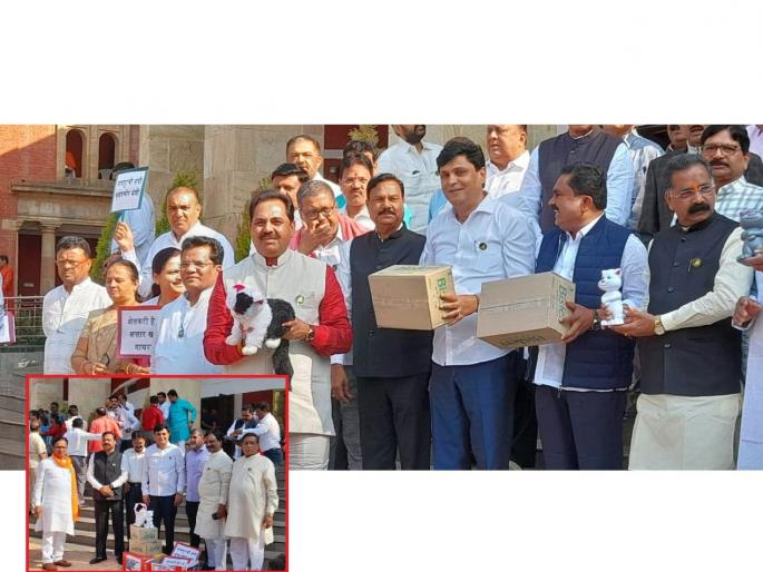 mahavikas aghadi mlas agitation against shinde-fadnavis govt rulling party | महाराष्ट्राला धोका... मंत्र्यांना खोका; विरोधकांची सत्ताधाऱ्यांविरोधात जोरदार घोषणाबाजी mahavikas aghadi mlas agitation against shinde-fadnavis govt rulling party | महाराष्ट्राला धोका... मंत्र्यांना खोका; विरोधकांची सत्ताधाऱ्यांविरोधात जोरदार घोषणाबाजी