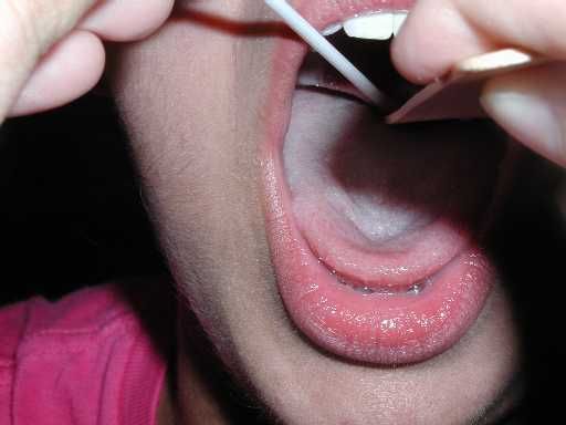 Will take 'throat swab' samples of pregnant women, shopkeepers | दुकानदार, गर्भवती महिलांचे घेणार ‘थ्रोट स्वॅब’ नमुने! Will take 'throat swab' samples of pregnant women, shopkeepers | दुकानदार, गर्भवती महिलांचे घेणार ‘थ्रोट स्वॅब’ नमुने!