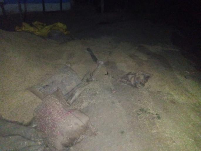 A herd of elephants roaring at night in Jambli village gondia | जांभळी गावात रात्रीच्या सुमारास हत्तींच्या कळपाचा धुमाकूळ, गावकऱ्यांची उडाली झोप A herd of elephants roaring at night in Jambli village gondia | जांभळी गावात रात्रीच्या सुमारास हत्तींच्या कळपाचा धुमाकूळ, गावकऱ्यांची उडाली झोप