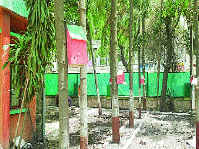 Green Corporation Brigade of ST Corporation; Tree Conservation and Bird Initiative | एसटी महामंडळाचे मिशन ग्रीन ब्रिगेड; वृक्षसंवर्धन आणि पक्ष्यांसाठी घेतला पुढाकार  