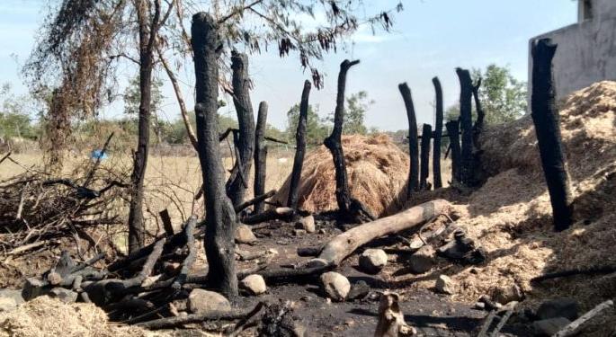 Fire at stable; Two buffalo deaths, two lakh loss | गोठ्याला आग; दोन म्हशीचा मृत्यू, दोन लाखाचे नुकसान Fire at stable; Two buffalo deaths, two lakh loss | गोठ्याला आग; दोन म्हशीचा मृत्यू, दोन लाखाचे नुकसान