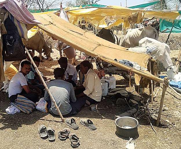 Free seed for farmers in drought-hit villages; Provide budget estimates | दुष्काळग्रस्त गावांमधील शेतकऱ्यांना मोफत बियाणे; अर्थसंकल्पात तरतूद करणार