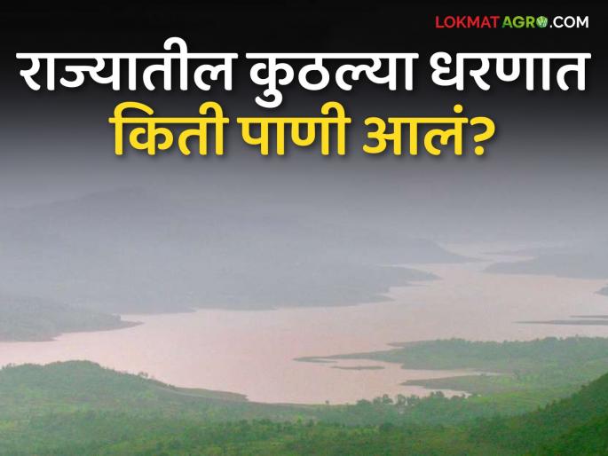 Latest News How much water came in Gangapur, Koyna, Jayakwadi, Bhandardara dams? Know in detail  | Maharashtra Dam Storage : गंगापूर, कोयना, जायकवाडी, भंडारदरा धरणांत किती पाणी आलं? जाणून घ्या सविस्तर 